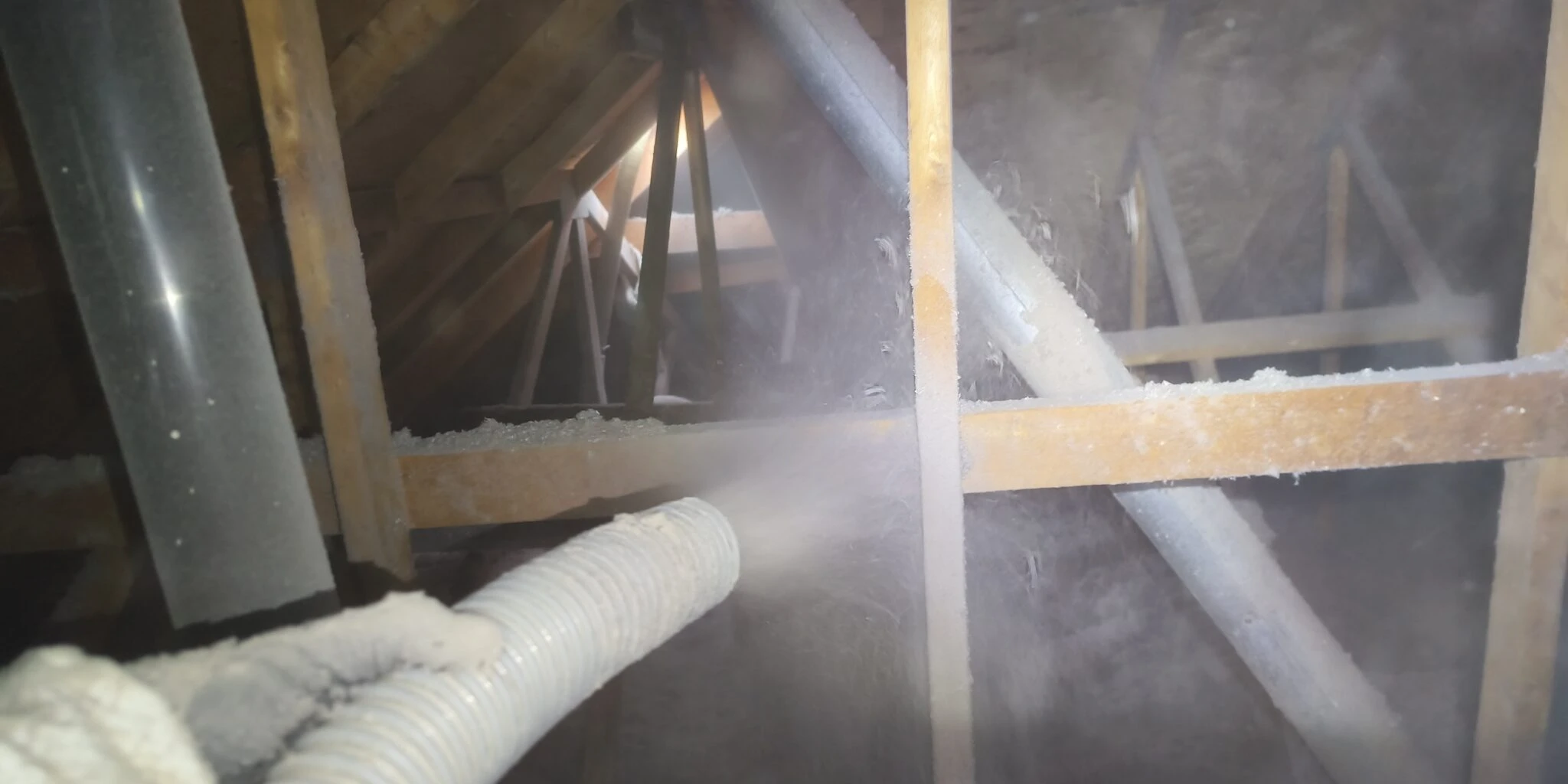 On the Job Critter Hero gallery image