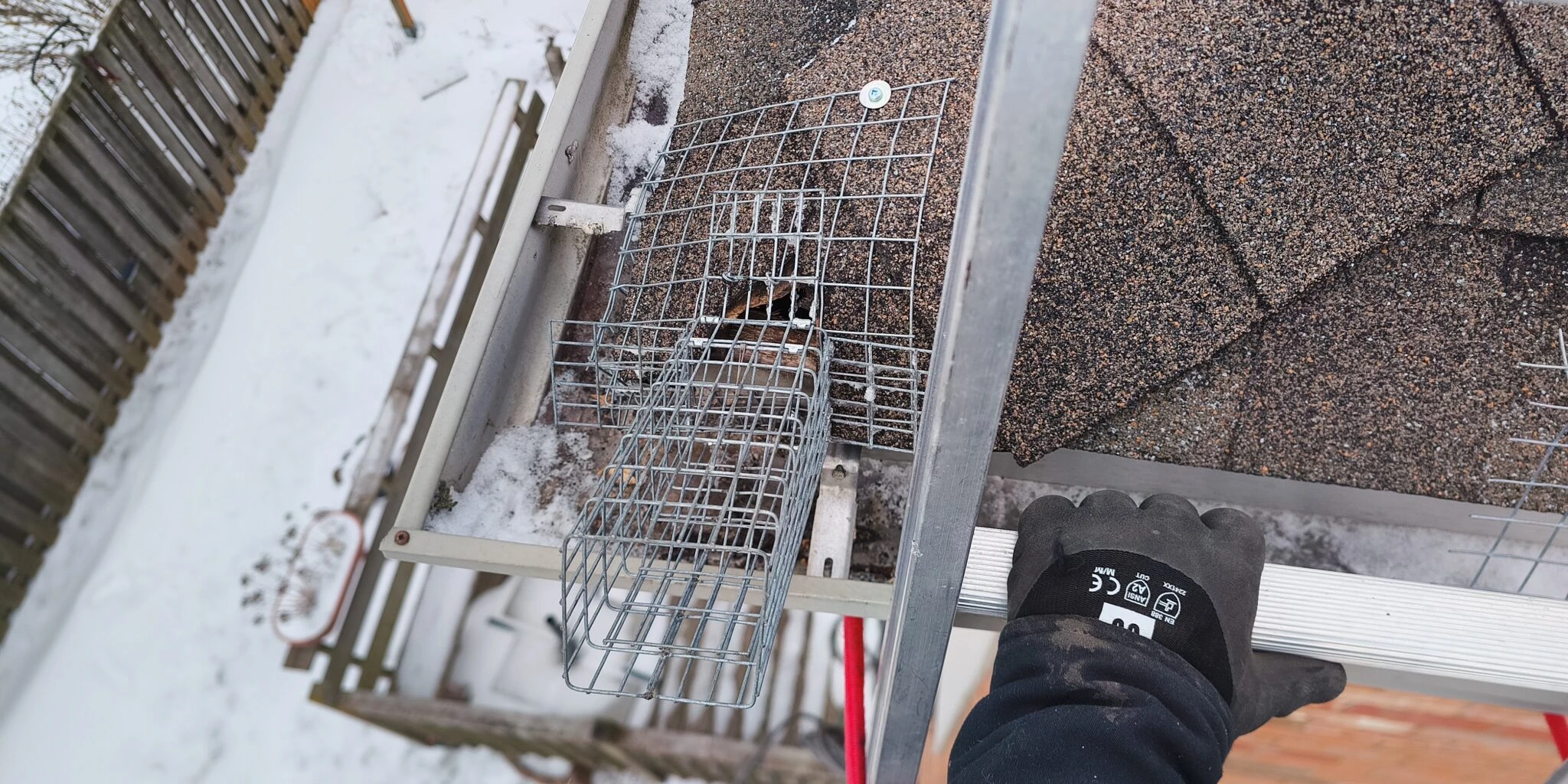 Exclusion Work Critter Hero gallery image